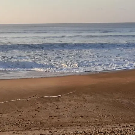 La Clairiere Du Seignanx Saint-Martin-de-Seignanx