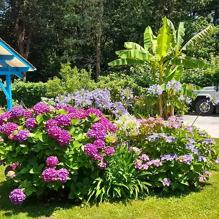 La Clairiere Du Seignanx לינה וארוחת בוקר Saint-Martin-de-Seignanx