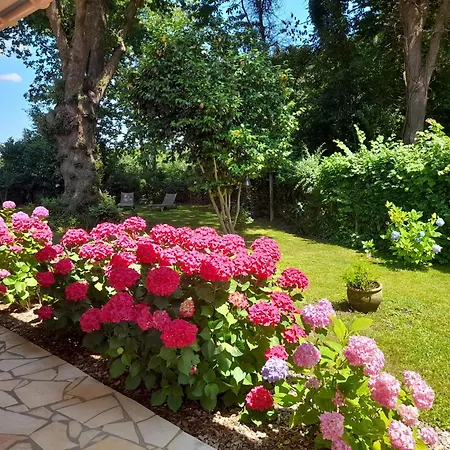 La Clairiere Du Seignanx Bed & Breakfast