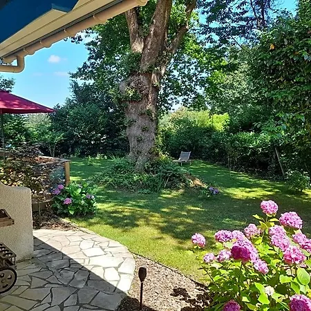 La Clairiere Du Seignanx Bed & Breakfast
