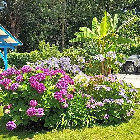 La Clairiere Du Seignanx Bed & Breakfast 3*