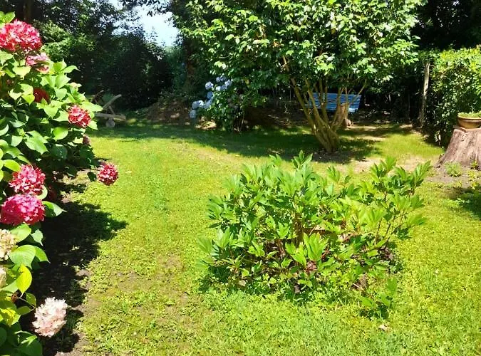 La Clairiere Du Seignanx 3* Saint-Martin-de-Seignanx