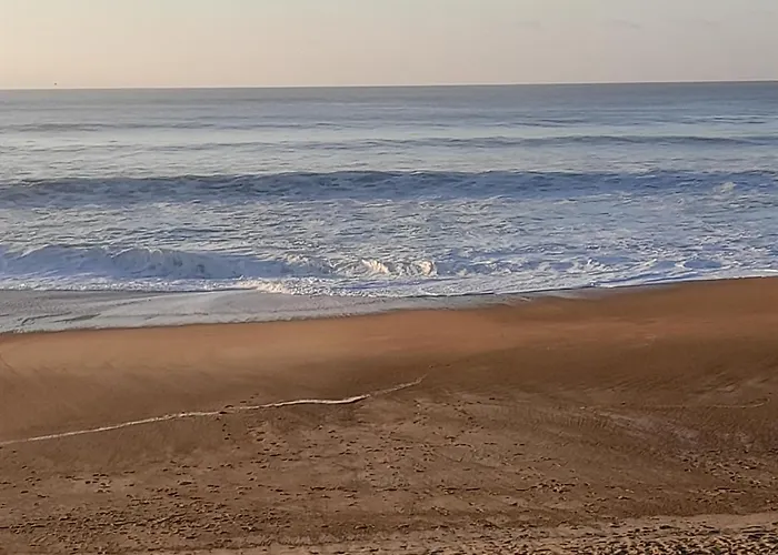 La Clairiere Du Seignanx Saint-Martin-de-Seignanx
