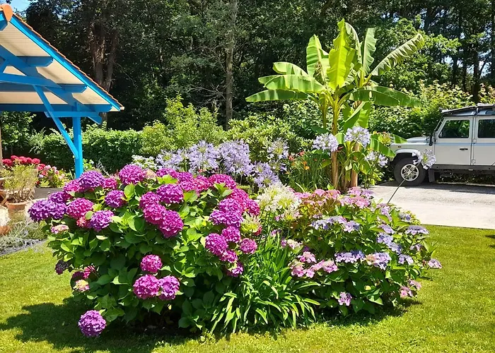 La Clairiere Du Seignanx Bed & Breakfast Saint-Martin-de-Seignanx